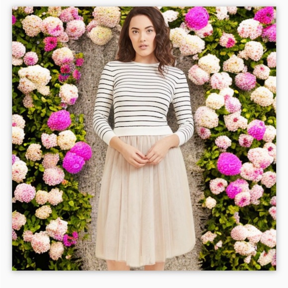 Modcloth Dresses & Skirts - ModCloth Twofer Blush Tulle and StripeSweater
Flaunt Where You Want Dress SzM